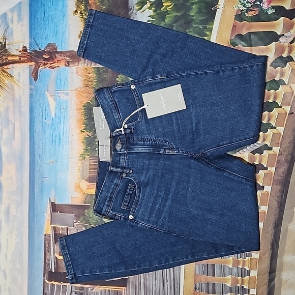 Everlane Denim - Everlane Ankle Skinny Jeans Size 24 NWT‎